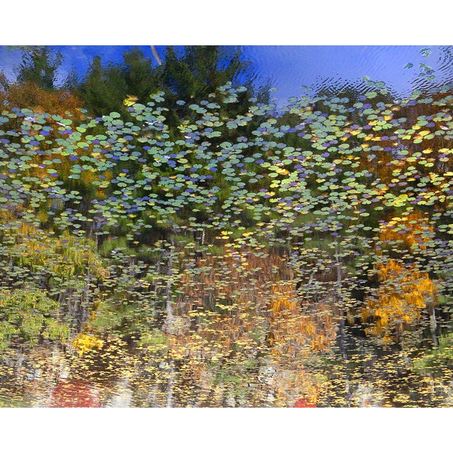 Landscape photograph of a Tree Line in Fall. Printed on Archival Paper