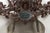 Brown Black Forest 1900s Carved Wooden Plaque with Chamois Motif, Foliage and Mirror For Sale - Image 8 of 10
