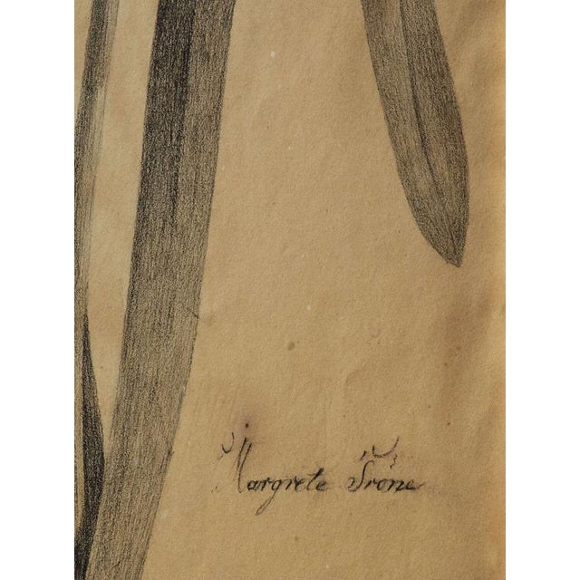 Margaret Trone, Swedish Empire Flower, Paper, Framed, Set of 2 For Sale - Image 7 of 14