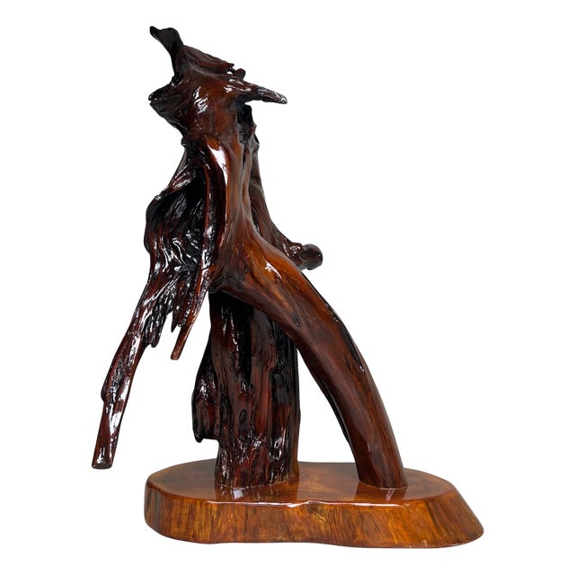 Japanese Rootwood Display Keyaki, 1970s For Sale