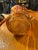 1930s Amber Carnival Glass Pitcher Marigold Rose by Imperial Glass Company For Sale In West Palm - Image 6 of 6