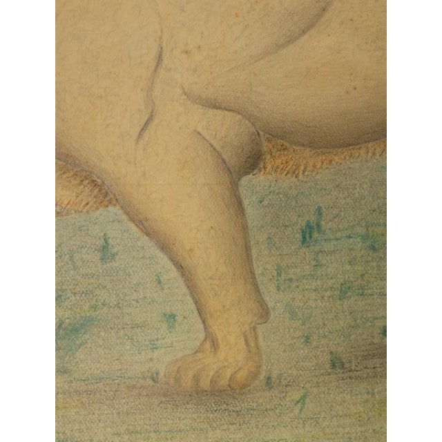 French Artist, Study of a Lion in a Palm Jungle, 1870, Colored Pencil on Paper For Sale - Image 10 of 17