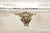 Vintage Baroque by Wallace 259 Silver Plated Meat Cutlery Serving Platter Tray For Sale - Image 9 of 11