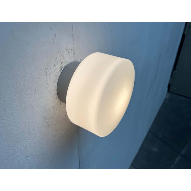 Mid-Century Modern Minimalist German Ceiling Glass Lamps from Kaiser Leuchten, 1960s, Set of 2 For Sale - Image 4 of 18
