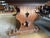 Wood French Monastery Style Wood Dining Table, 1900s For Sale - Image 7 of 11