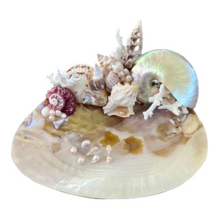 CSS Small Seashell Catchall For Sale