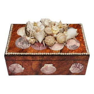 1970s Large Sea Shell Wood Box Humidor For Sale