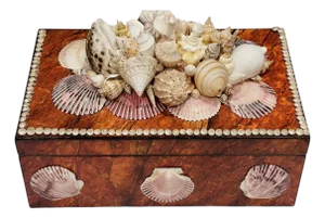 1970s Large Sea Shell Wood Box Humidor