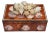 Gorgeous Large Sea Shell Faux Burlwood Box For Sale