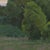 Textile Where Evening Rests by Michael Magrin | Oil on Canvas Landscape With Trees at Dusk For Sale - Image 7 of 14