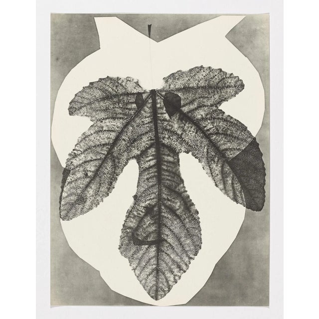 Black Pablo Picasso, Diurnes "Midas", 1962, offset lithograph For Sale - Image 8 of 8