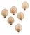 Fan Wall Lights in the style of Ingo Maurer, 1970s, Set of 2 For Sale