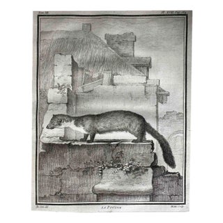 Jean Gullaume Moitte, La Foutine, Etching, 1771 For Sale