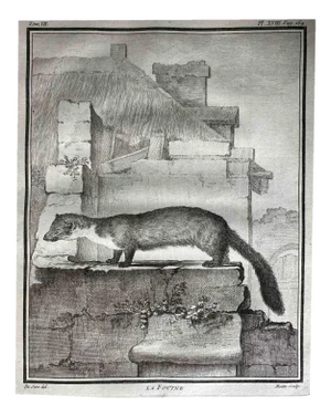 Jean Gullaume Moitte, La Foutine, Etching, 1771