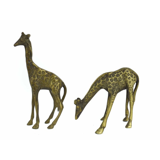 Mid-Century Modern Solid Brass Giraffe Figurine - Pair For Sale - Image 3 of 5