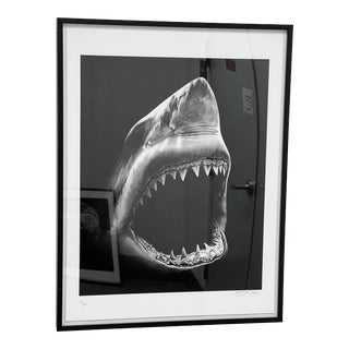 Signed + Numbered Great White Shark Edition 34 of 35 For Sale