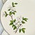 1950s Vintage Coastal Boho Chic Dogwood Luncheon or Salad Plates - Set of 6. For Sale - Image 4 of 10