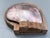 1950s Alexander Noll Carved Wood & Mother of Pearl Lidded Cigarette Box For Sale - Image 6 of 13