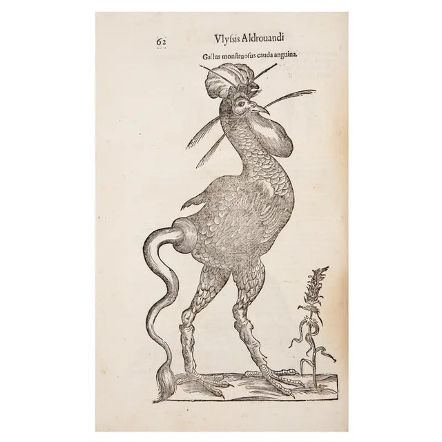 17th Century Illustrated Vellum Book, Ulisse Aldrovandi's Serpentum Et Draconum Historiæ Libri Duo For Sale - Image 4 of 12