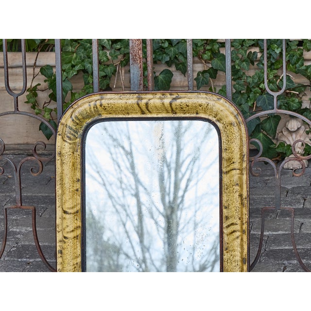 Yellow French Louis-Philippe Mirror with Faux Tortoiseshell Painted Frame, circa 1850 For Sale - Image 8 of 12