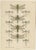 Dragonfly Lithographs from Die Geradflügel Mitteleuropas, 1908, Set of 3 For Sale - Image 3 of 13