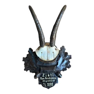 Chamois Goat Trophy For Sale