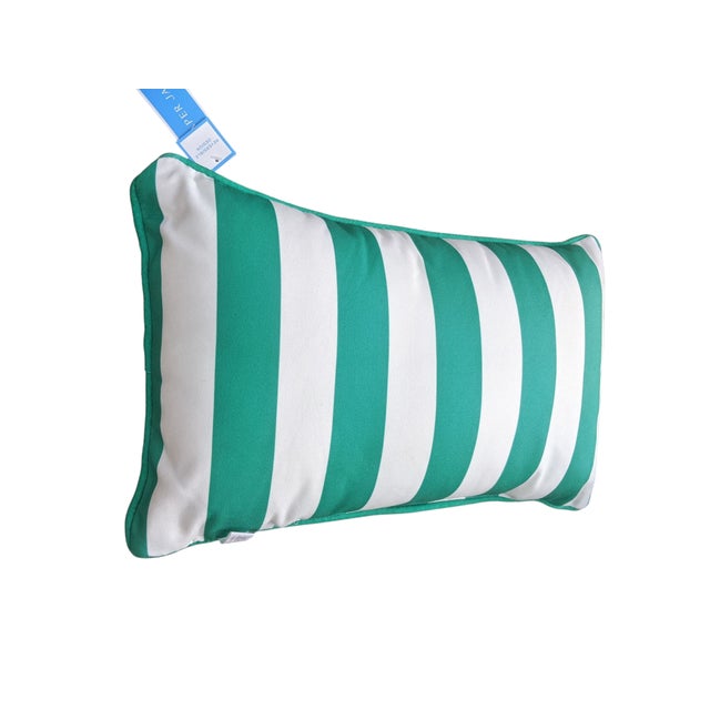 2020s Goodness Gracious Indoor Outdoor Reversible Pillow For Sale - Image 5 of 9