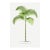 Vintage Palm Tree Illustration, Botanical Art Print Reproduction, 12" X 18" For Sale