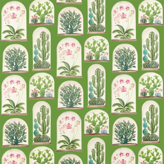 Sanderson Terrariums Fabric in Botanical Green - a Sample For Sale