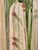 2026 Oil on Canvas Painting by Ukrainian Artist SVITLANA SHAPOVALOVA Title: CACTUSES Date: 03.2026 Aprox. dimensions:...