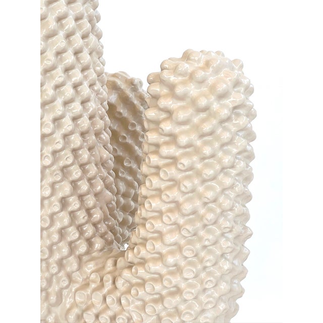 Cactus Coat Stand by Guido Drocco & Franco Mello for Gufram, 2000s For Sale - Image 6 of 11