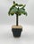 Vintage Hollywood Regency Toleware Potted Faux Palm Tree Candleholder For Sale - Image 10 of 12