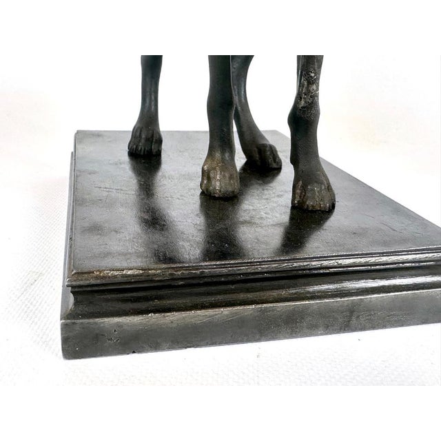 French Cast Iron Greyhound Figurine, 1900s For Sale - Image 7 of 17