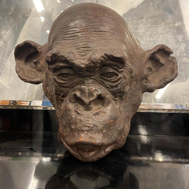 Ceramic Bonobo Monkey Head Sculpture in Terracotta, 2019 For Sale - Image 7 of 18