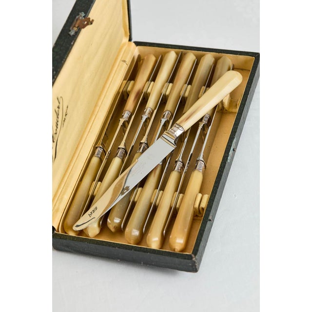 Lovely set of 8 boxed J. Coudert, Paris faux bone handled knives. The knives are in superb condition and measure 9-1/4"...