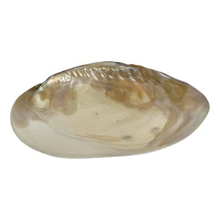 Vintage Polished Shell Caviar Footed Serving Dish Plate For Sale