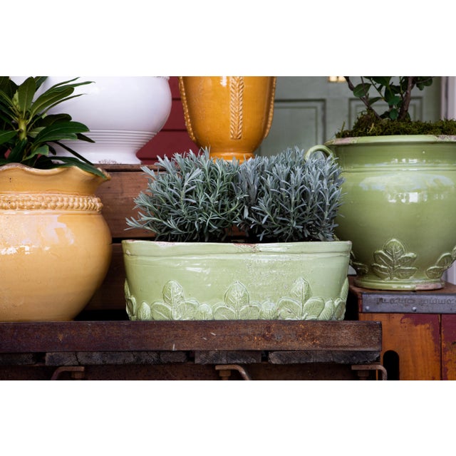 Italian VIETRI Rustic Garden Pistachio Basil Round Planter For Sale - Image 3 of 4