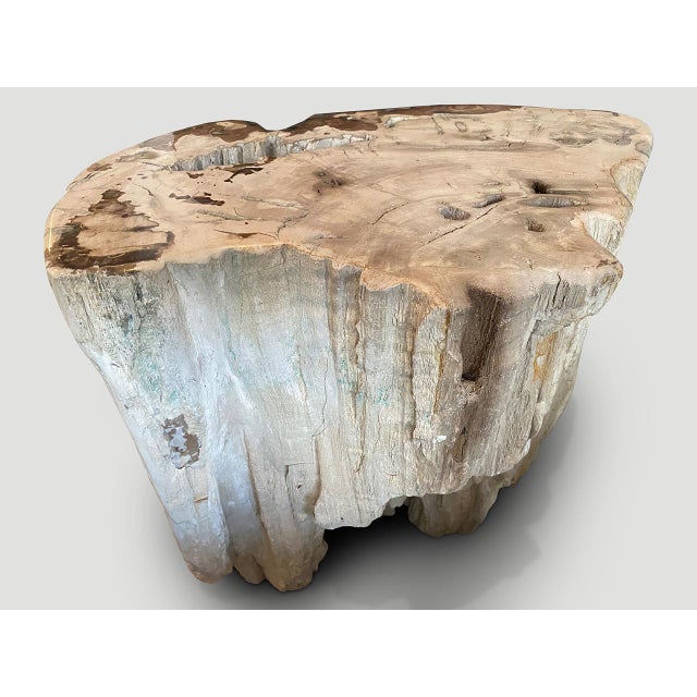 Andrianna Shamaris Ancient Petrified Wood Side Table or Coffee Table For Sale - Image 13 of 18