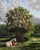 Yggdrasil by Robin Hextrum | Oil on canvas Tree with animals and flowers in a landscape setting For Sale