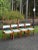 Vintage Mid Century Modern Danish Teak Extendable Dining Table Set-4 For Sale - Image 4 of 12