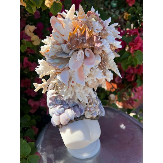 CSS 15" Seashell Apollo Bust For Sale In West Palm - Image 6 of 8