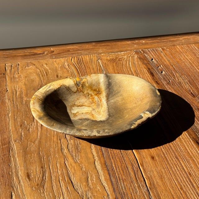 Brutalist Dark Beige Oval Petrified Wood Bowl, 1980s For Sale - Image 3 of 8