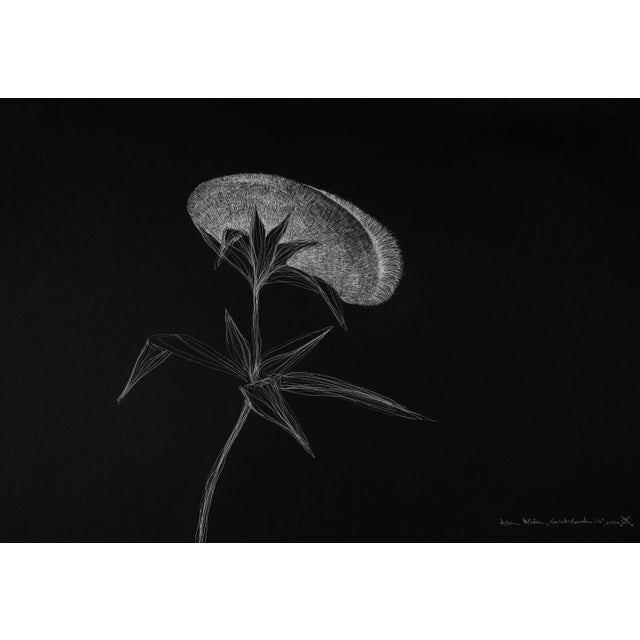 Secret Garden 14 by Alina Aldea For Sale - Image 6 of 6