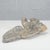 Gray Hand-Carved and Hand-Sculpted Wooden Napoleonic Eagle, Late 18th Century For Sale - Image 8 of 9