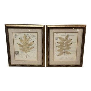 Botanical Collection Plates, Set of Two For Sale