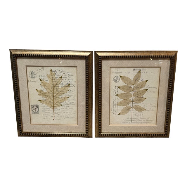 Botanical Collection Plates, Set of Two For Sale