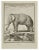 L'elephant is an etching realized by Jean Charles Baquoy in 1771. It belongs to the suite "Histoire Naturelle de Buffon"....