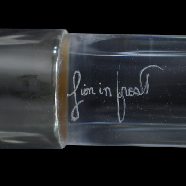 1980s 1980s Pair of Lion in Frost Chairs For Sale - Image 5 of 5