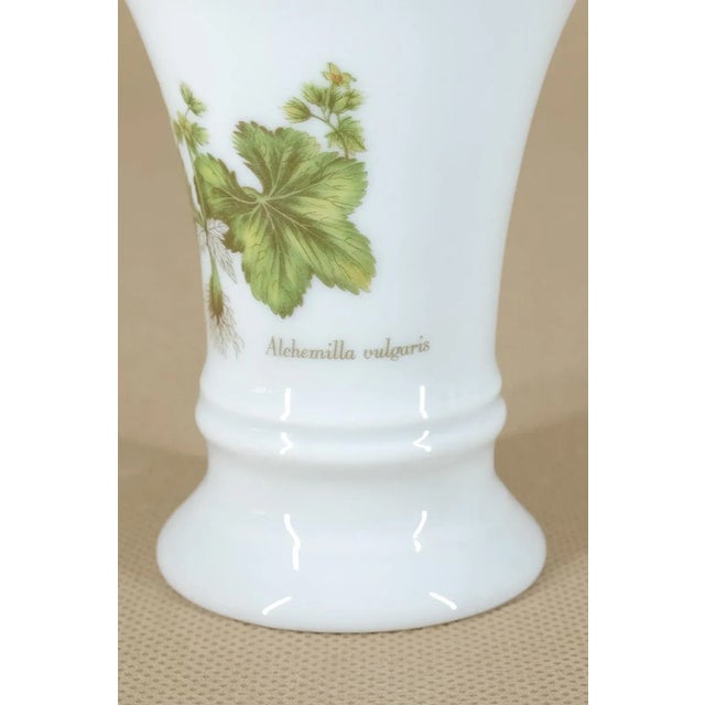 Alchemilla Vulgaris Vase from Fürstenberg Porzellan, 1980s For Sale - Image 6 of 8