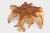 Inspired by the beauty of natural root form, this organic teak coffee table is handcrafted from one piece of salvaged teak...